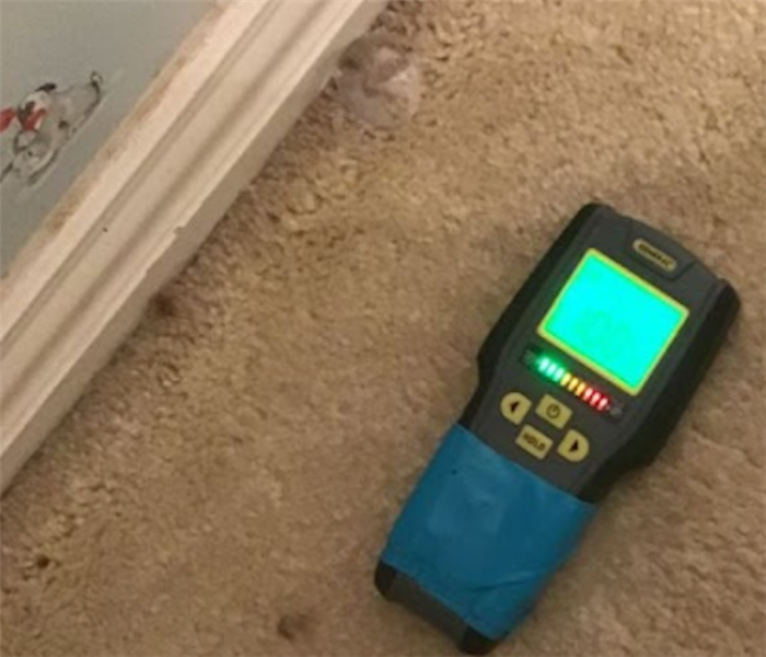 Moisture Meter Detecting the Moisture Level of the Carpet
