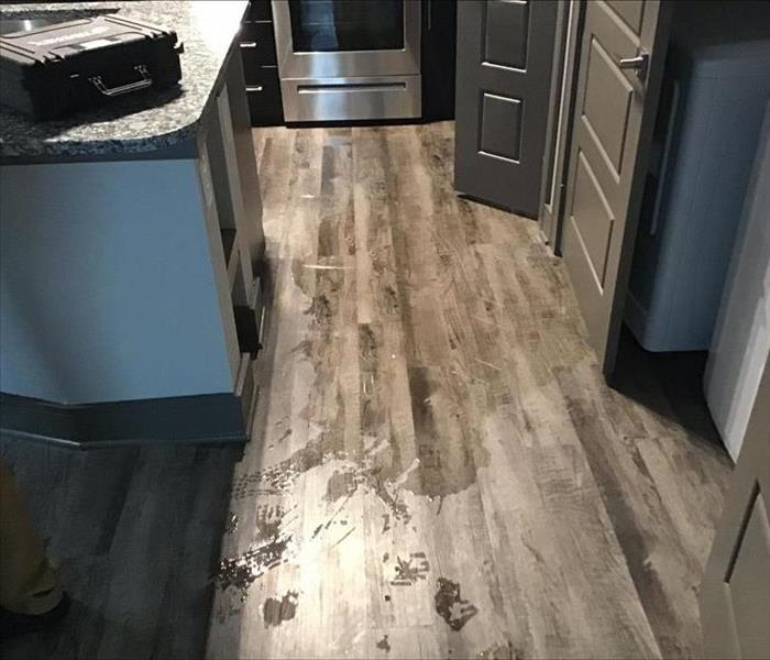 Water Damage in Kitchen