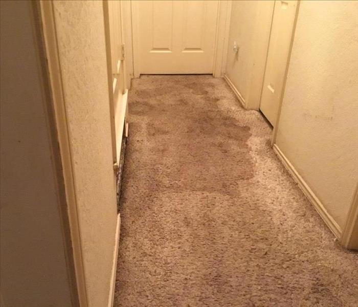 Stained Hallway Carpet from Bathroom Flood