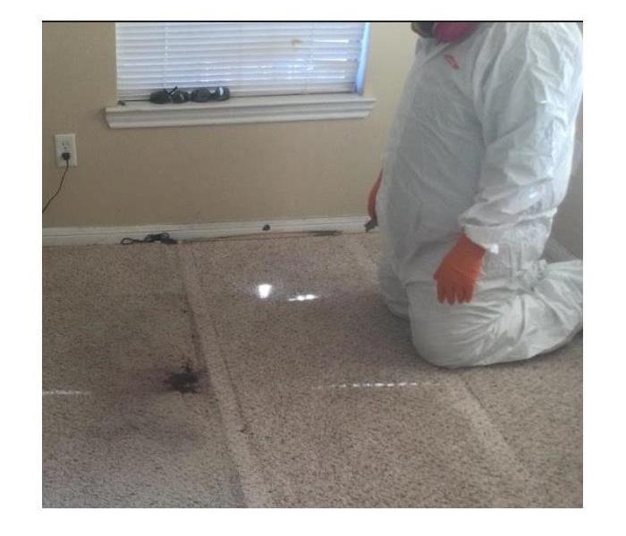carpet cleaning