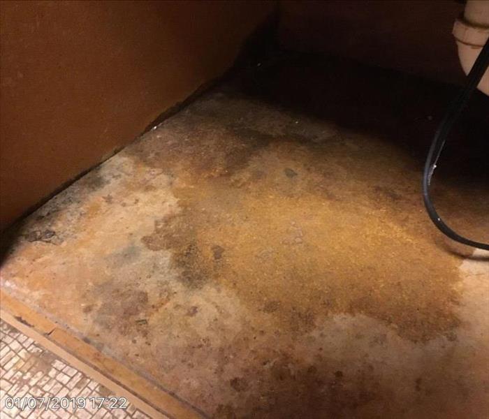 Bathroom Sink Leak